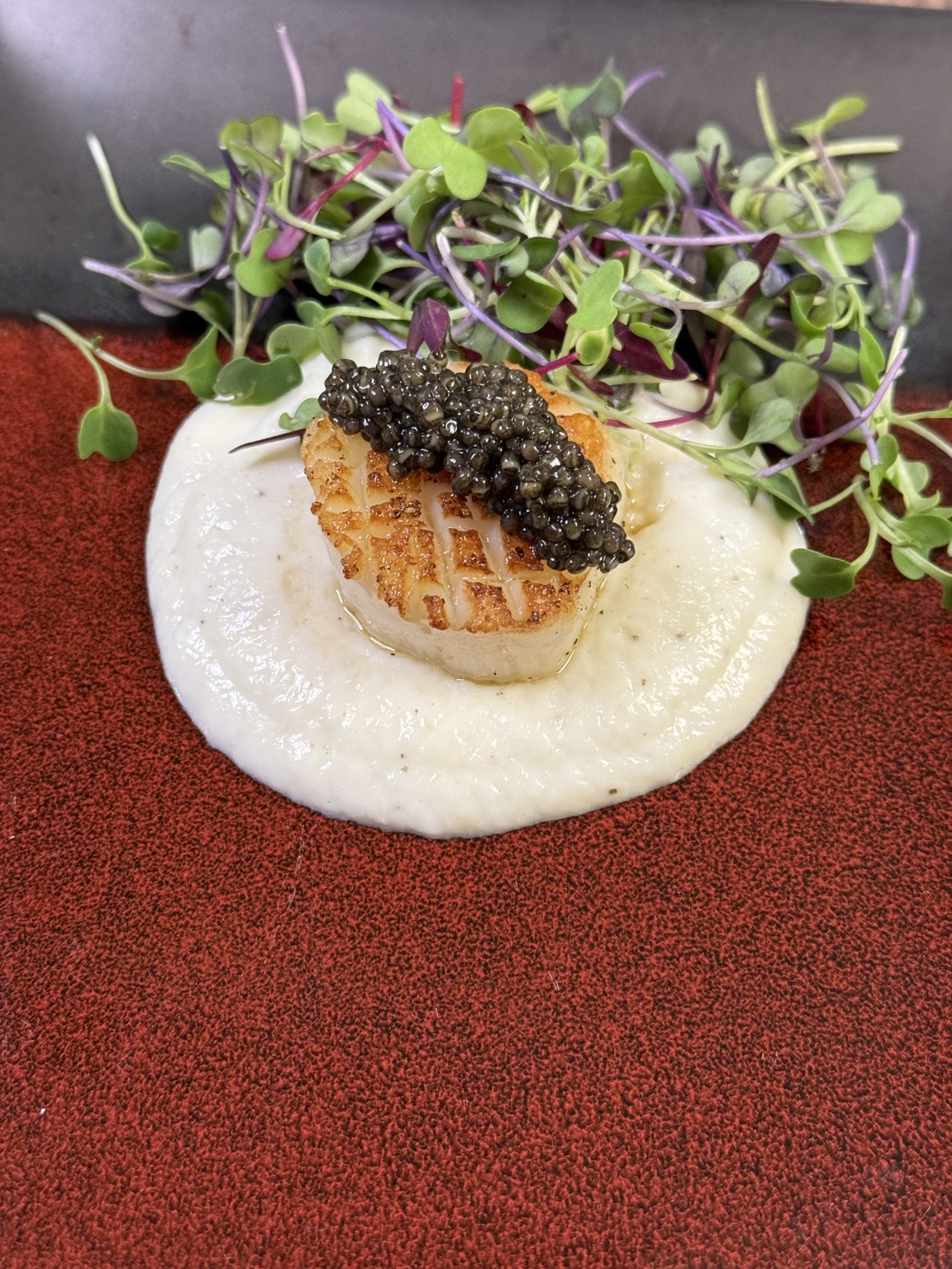 A carefully composed small plate with microgreens